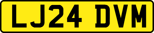 LJ24DVM