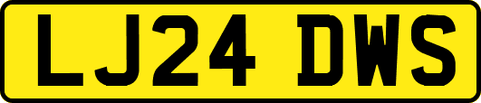 LJ24DWS