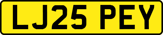 LJ25PEY