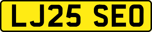 LJ25SEO