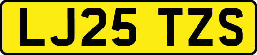 LJ25TZS
