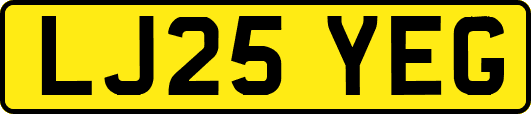 LJ25YEG