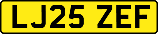 LJ25ZEF
