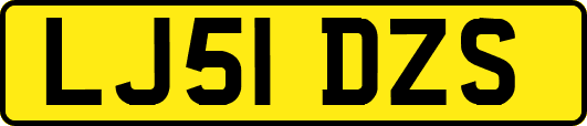 LJ51DZS