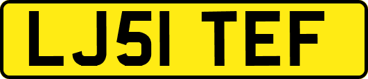 LJ51TEF