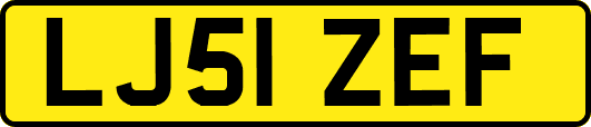 LJ51ZEF