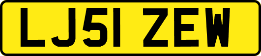 LJ51ZEW