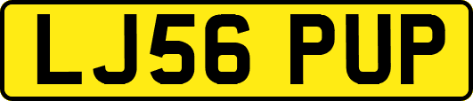 LJ56PUP