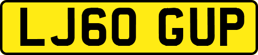 LJ60GUP