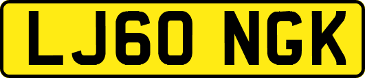 LJ60NGK