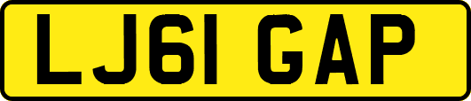 LJ61GAP