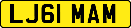 LJ61MAM