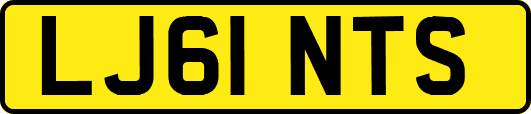 LJ61NTS
