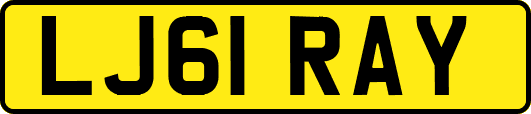 LJ61RAY