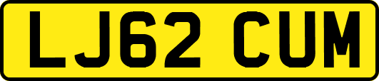 LJ62CUM