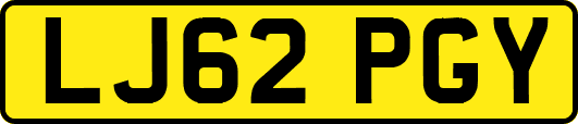 LJ62PGY