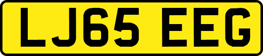 LJ65EEG