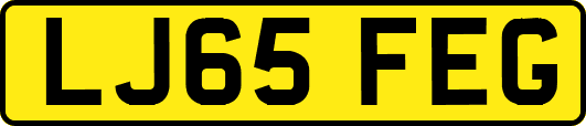 LJ65FEG