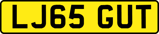 LJ65GUT