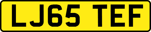 LJ65TEF