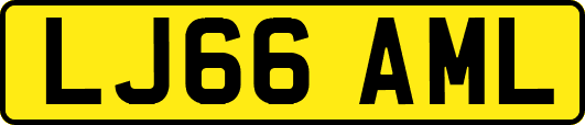 LJ66AML