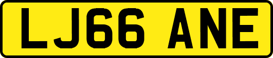 LJ66ANE