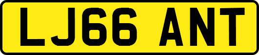 LJ66ANT