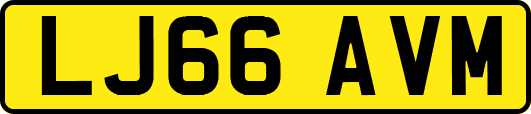 LJ66AVM