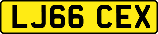 LJ66CEX