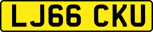 LJ66CKU
