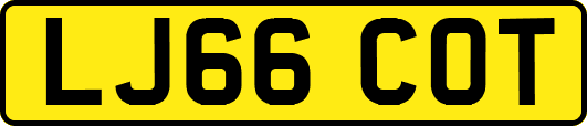 LJ66COT