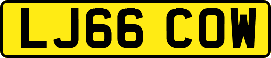 LJ66COW