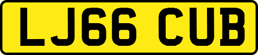LJ66CUB