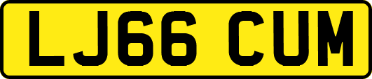 LJ66CUM