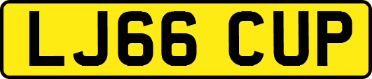 LJ66CUP