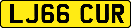 LJ66CUR