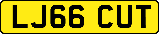 LJ66CUT