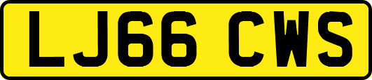 LJ66CWS