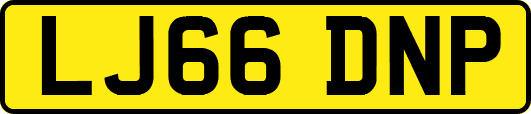 LJ66DNP