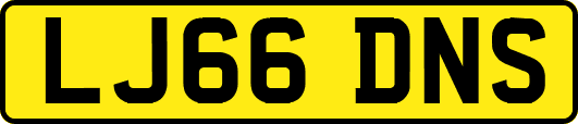 LJ66DNS