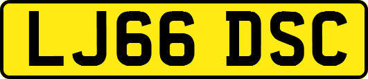 LJ66DSC