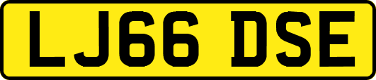 LJ66DSE