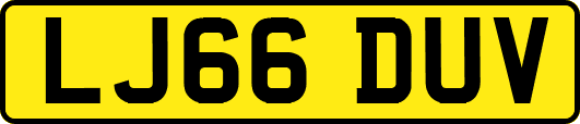 LJ66DUV