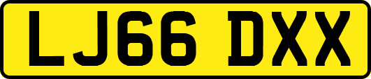 LJ66DXX