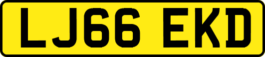 LJ66EKD