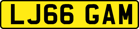 LJ66GAM