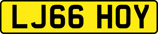 LJ66HOY