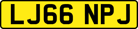 LJ66NPJ