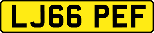 LJ66PEF