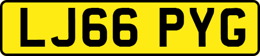 LJ66PYG